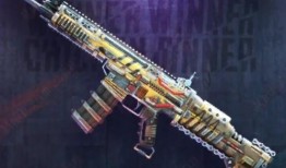 pubgm爆料最新极品,揭秘最新爆料，极品装备生成背后的秘密